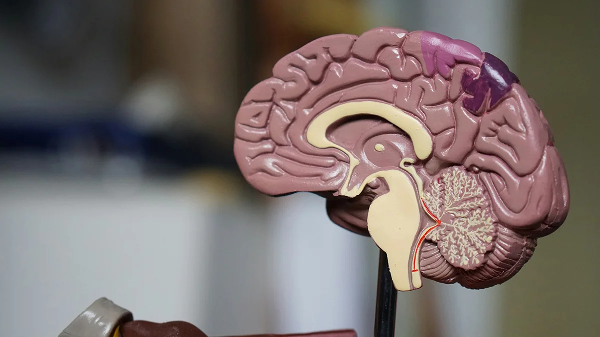 faqs emdr